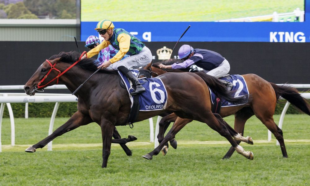 特的较量 特的较量